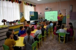 «МУР-МУР-ШОУ»: ПРАЗДНИК КОШЕК