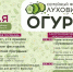 Фестиваль «Луховицкий огурец» уже в эту субботу - Краеведческий музей