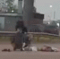 На трассе М5 в Рыбновском районе насмерть сбили человека. Видео - Rybnoe.Net